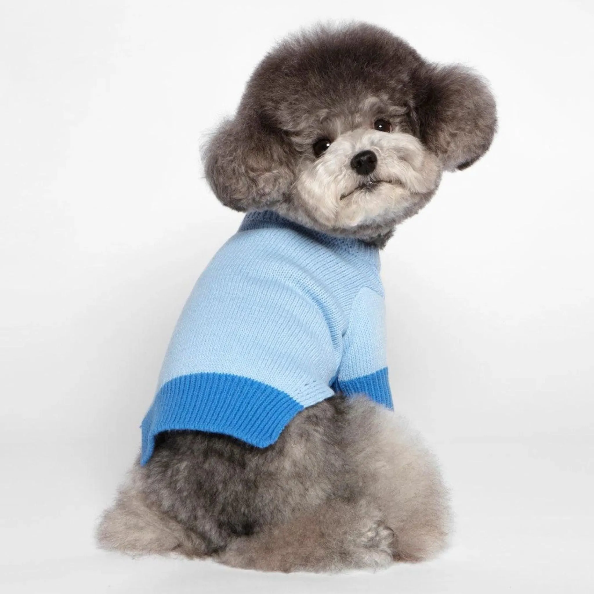 Blue Color Block Knit Dog Sweater