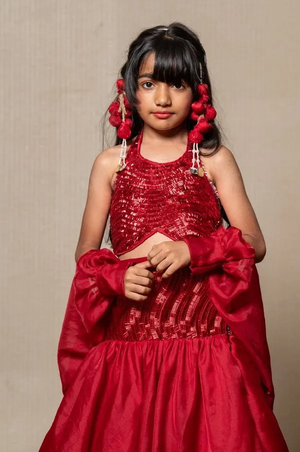 Elegant Red sequin top with flared skirt and Cape style Dupatta