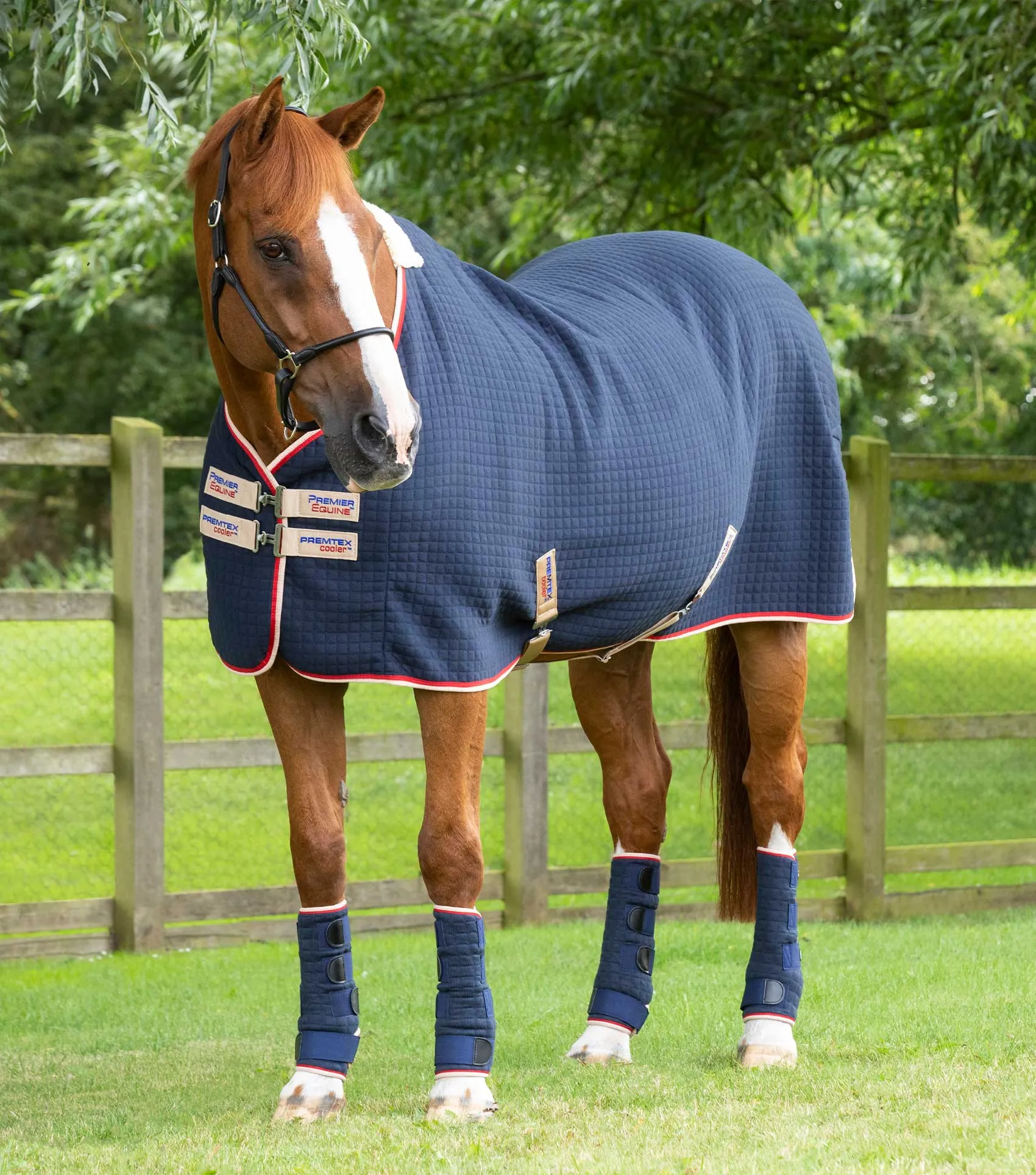 PremTex Horse Cooler Rug Navy